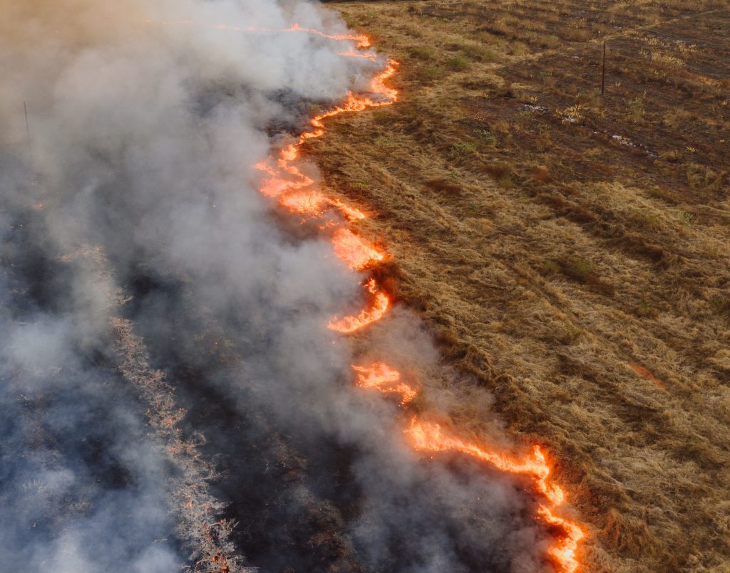Burning crops